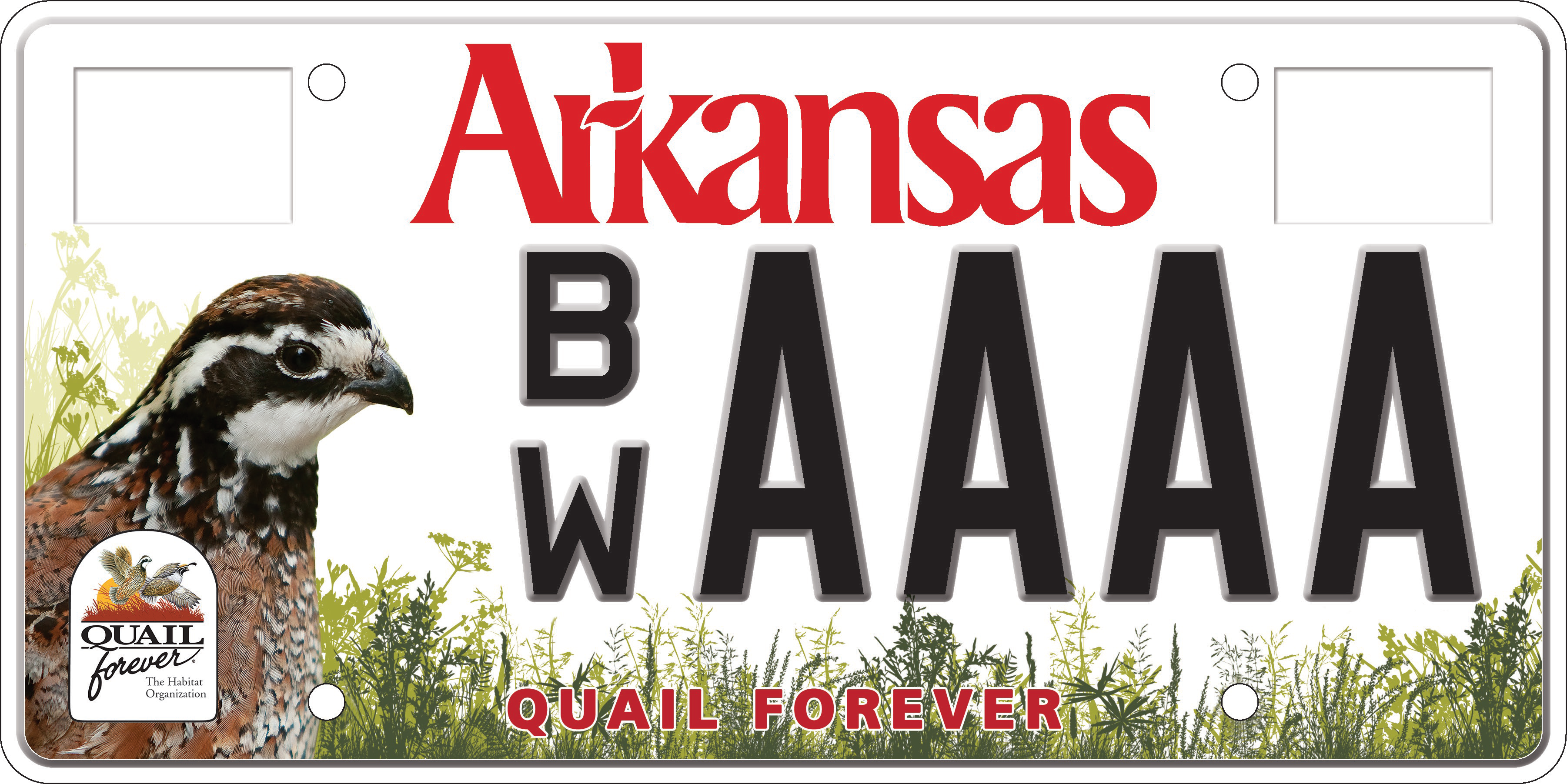 Quail Forever
